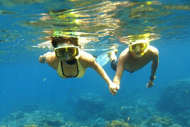 Ras Mohamed and White Island Snorkeling Trip and One Stop Diving-Sharm El Shiekh - Snorkeling and Diving Equipment