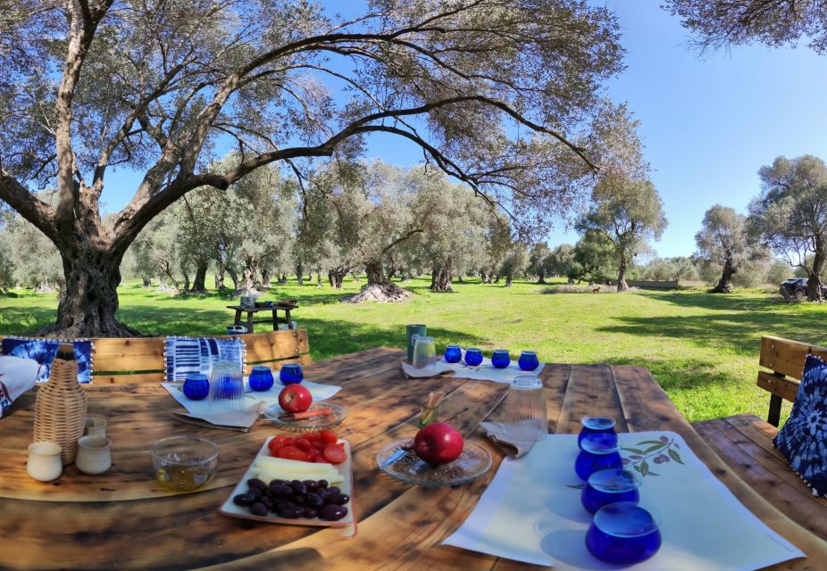 Rethymno: Olive Oil Tasting With Cretan Food Pairing - Harvesting and Extraction