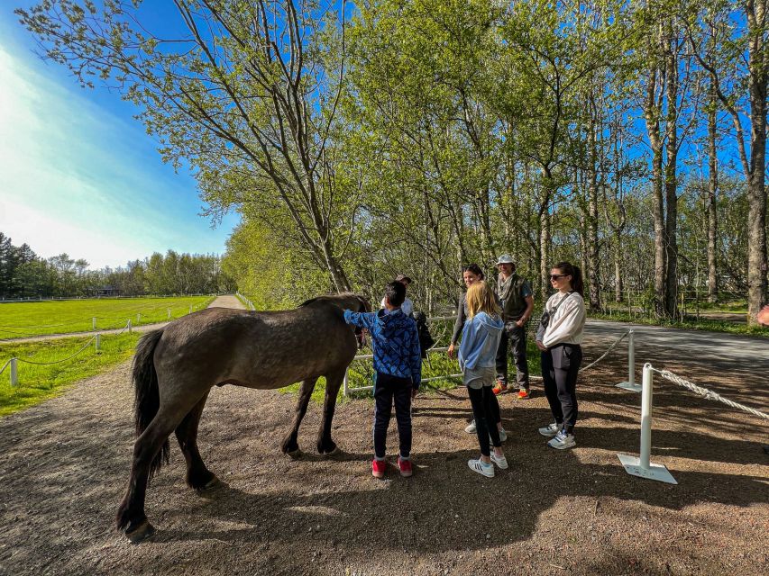 Reykjavik: Golden Circle, Silfra Snorkeling, and Farm Lunch - Opportunity to Meet Horses