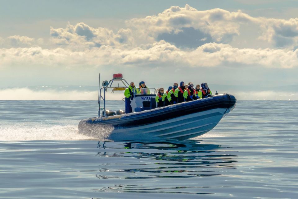 Reykjavik: RIB Speed-Boat Puffin Watching Tour - Arrival and Preparation