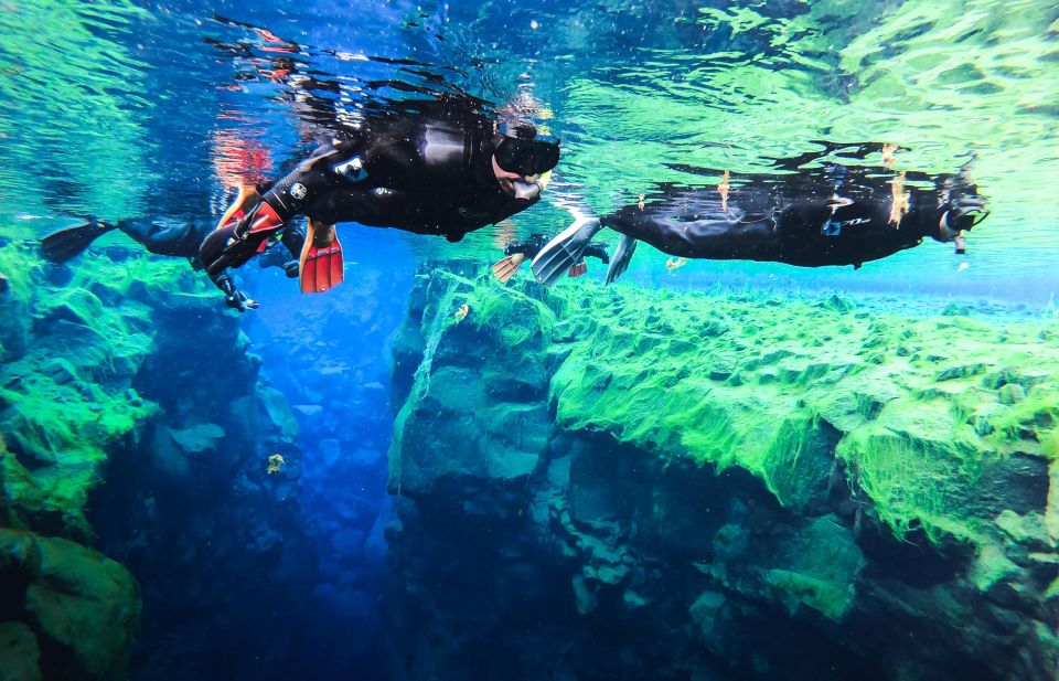 Reykjavik: Silfra Fissure Snorkeling Tour With Photo & Cocoa - Pickup and Drop-off Convenience