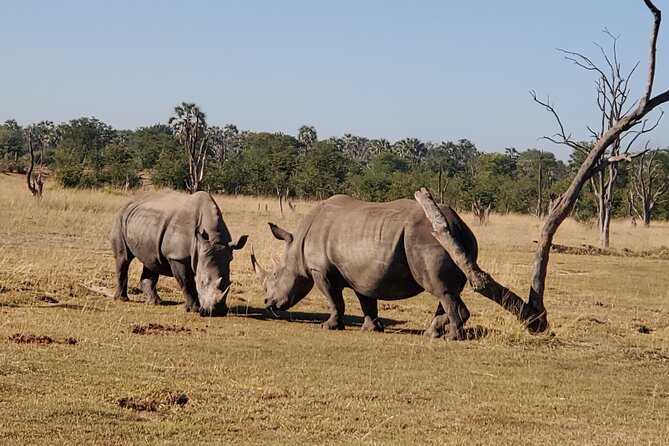 Rhino Walk - Cancellation Policy