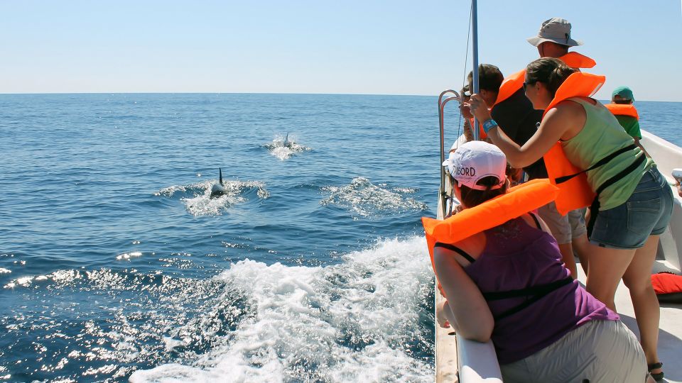 Ria Formosa: Dolphin-Watching Boat Tour - Whats Included