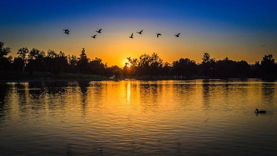 Ride a Motorboat Into the Sunset & Enjoy a Picnic - On-the-Water Adventures