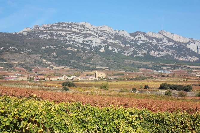 Rioja Full Experience Tour From San Sebastian With Lunch - Minimum Drinking Age Requirement