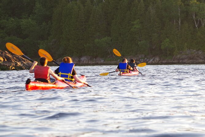 River Relics Kayaking Adventure - Availability and Booking Confirmation