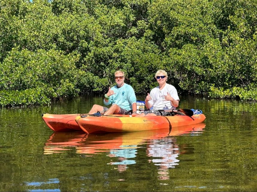 Robinson Preserve Mangrove Tour - Activity Description