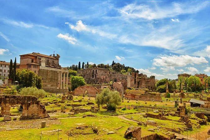 Rome: Colosseum, Roman Forum, and Palatine Hills Hosted Entry - Roman Forum and Palatine Hill