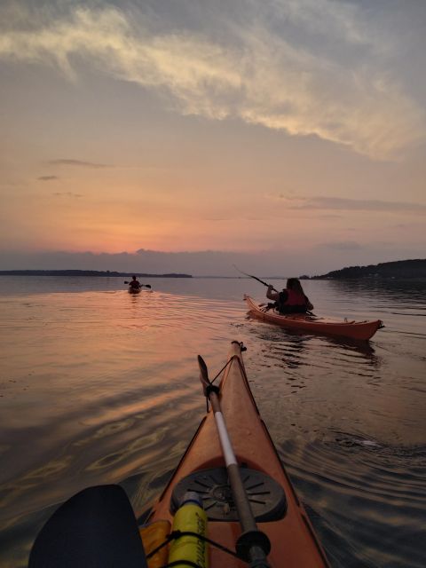 Roskilde: Guided Kayaking on Roskilde Fjord: Sunset Tour - Frequently Asked Questions