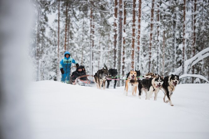 Rovaniemi 2 Days Activities Package - Santa Claus Village