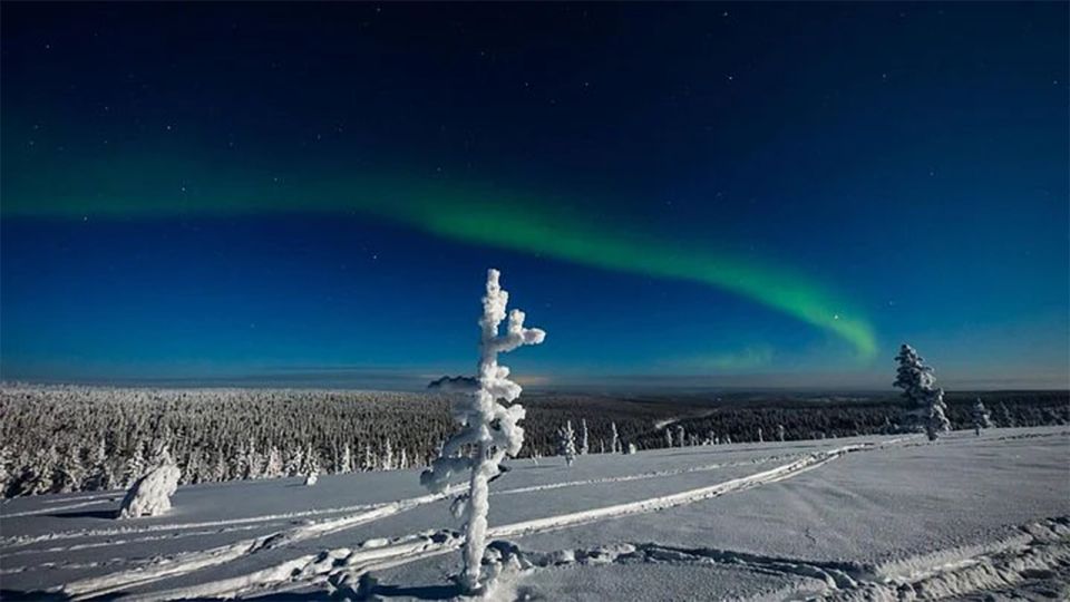 Rovaniemi: Northern Lights and Husky Sleigh Ride - Minimum Group Size Requirements