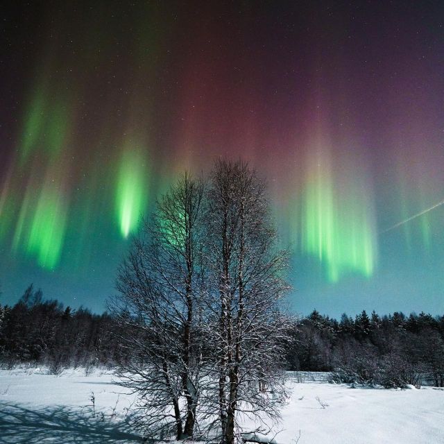 Rovaniemi: Northern Lights Hunt With a Photographer - Frequently Asked Questions