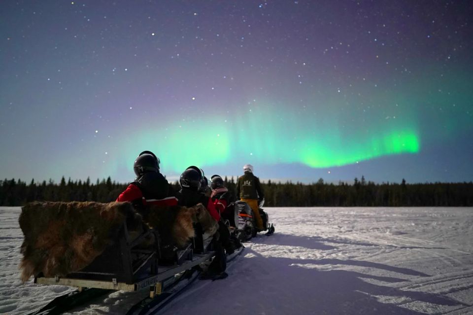 Rovaniemi: Northern Lights Sleigh Ride - Customer Feedback and Ratings