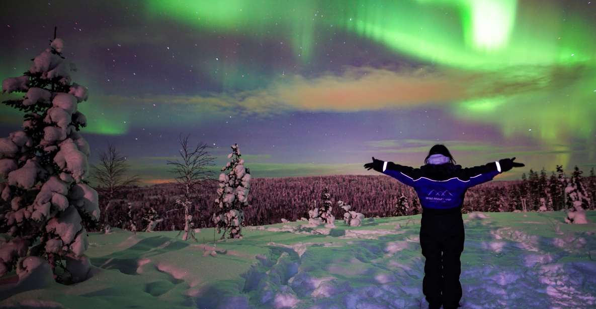 Rovaniemi: Northern Lights Wilderness Tour With Camera - Immersive Wilderness Experience