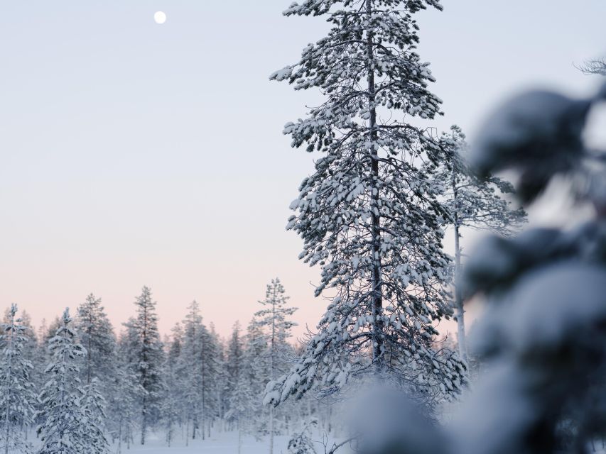 Rovaniemi: Small-group Ski Trek to the Wilderness - Gear Provided for Comfort