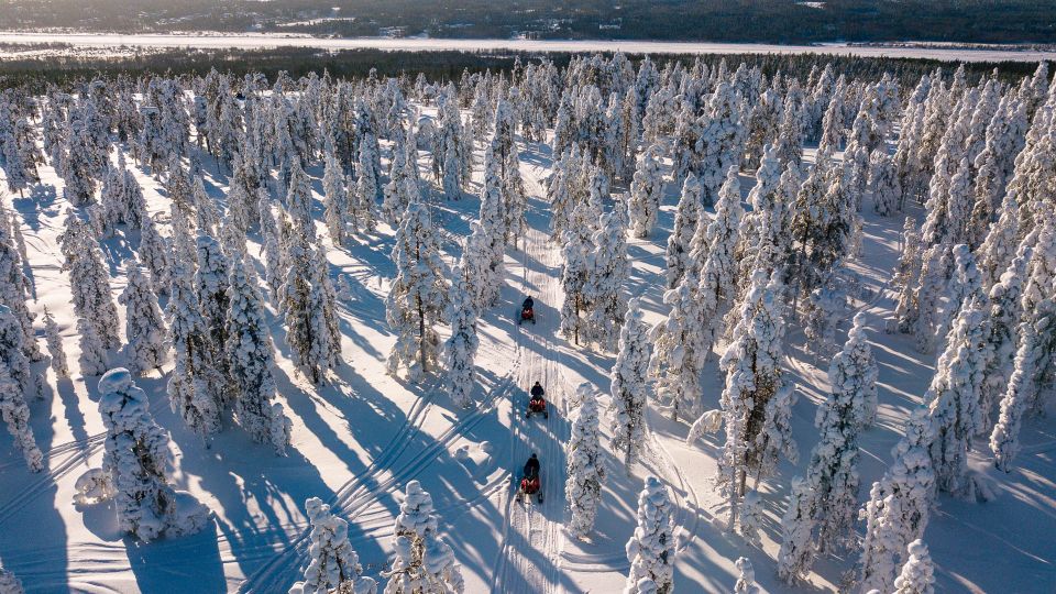 Rovaniemi: Snowmobile Adventure Tour for Adults Only - Thrill-Seeking Experience