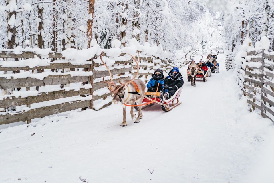 Rovaniemi: Snowmobile Safari, Reindeer & Husky Sleigh Ride - Husky Sleigh Ride