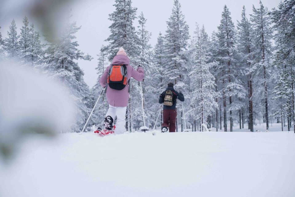 Rovaniemi: Snowshoe Wilderness Adventure - Important Notes