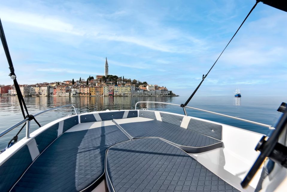 Rovinj: Dolphin Watching Sunset Speedboat Trip With Drinks - Important Considerations