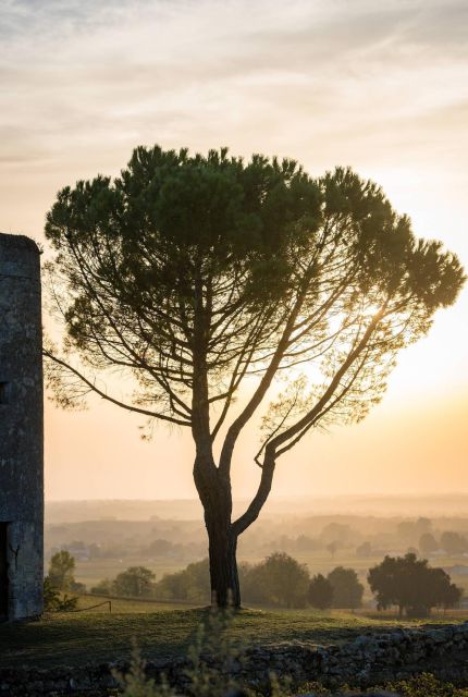 Saint Emilion Half Day Ebike and Wine Tour With Picnic - Getting to Saint-Émilion