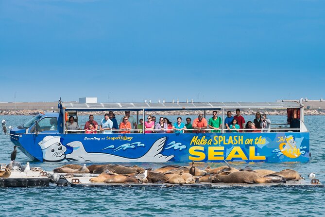 San Diego Seal Tour - Wildlife Spotting Opportunities