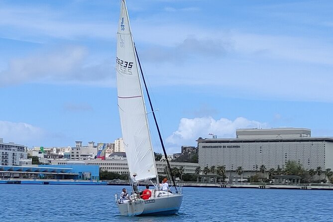 San Juan Historical Bay Daytime Sailing Tour - Potential Wildlife Encounters