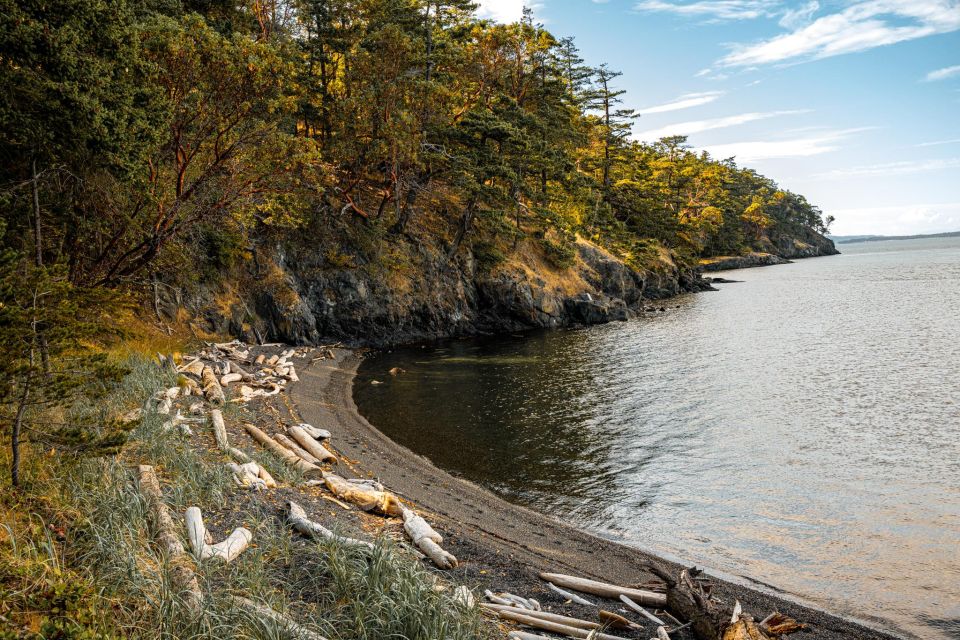 San Juan Island: 3-Hour Kayak Tour - Tour Guides