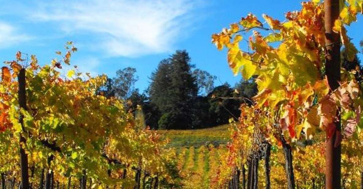 Santa Cruz: Private Custom Wine Tour With Hotel Pickup - Customizing Your Wine Tour