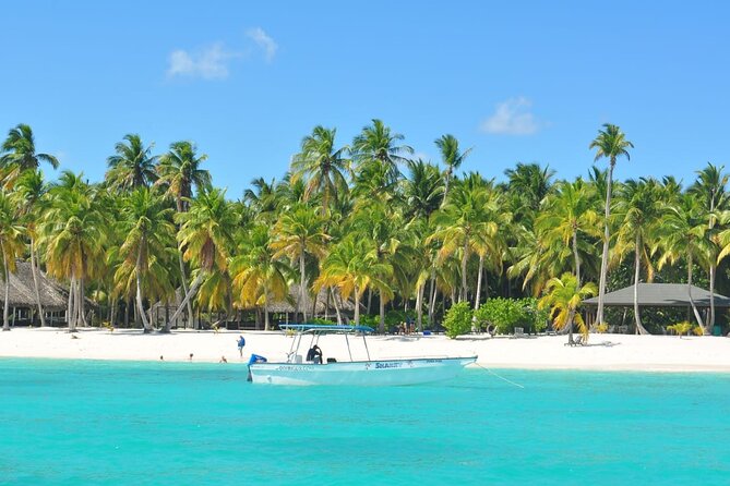 Saona Island Full-Day Tour From Las Terrenas With Lunch - Overall Value Assessment