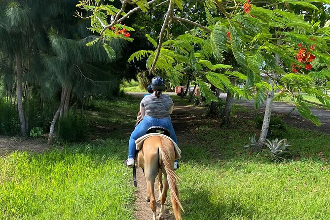 Scenic Horseback Riding Tour From San Juan - Hacienda Campo Rico Experience