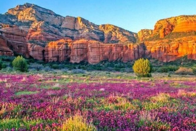 Scenic Sedona Tour - Booking Information