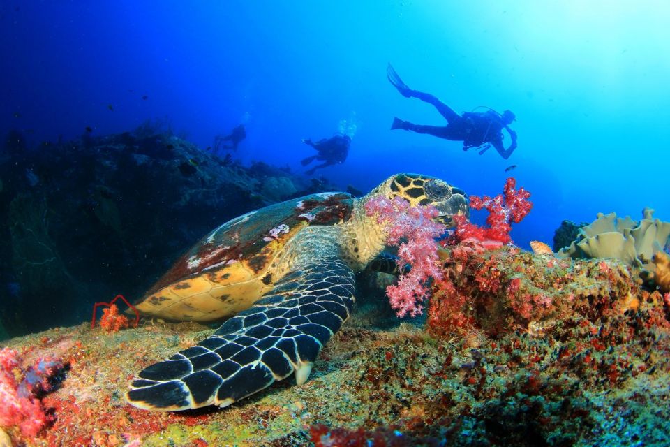 Scuba Diving Tour From Marmaris and Icmeler - Spectacular Scenery