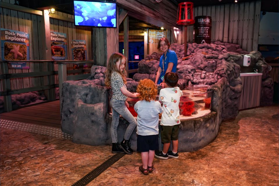 SEA LIFE Great Yarmouth - Interactive Rock Pool