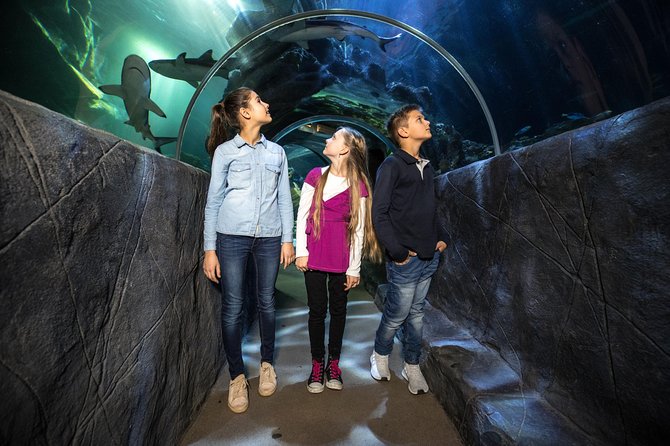 SEA LIFE Munich Admission Ticket - Accessibility Information