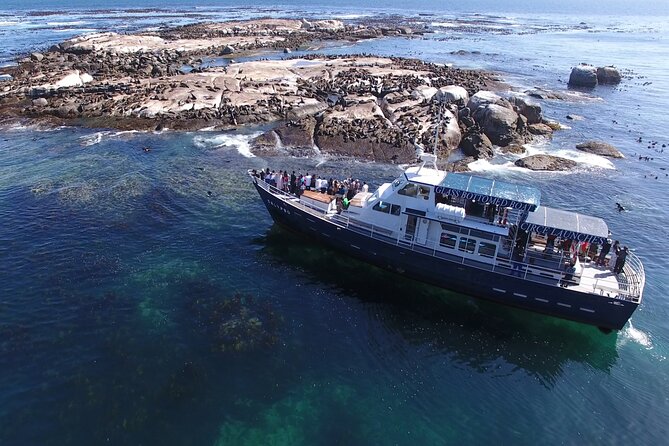 Seal Island,Cape of Good Hope&Penguins Shared Tour,From Cape Town - Memorable Highlights