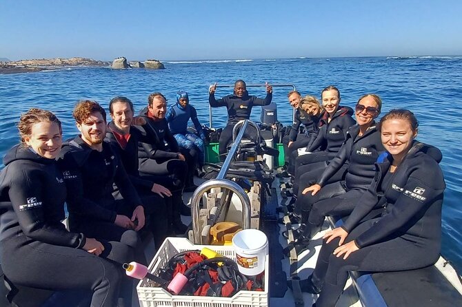 Seal Snorkeling Experience in Cape Town - Wetsuit Fitting and Gear Check