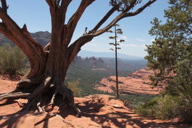 Sedona: 2-Hour Colorado Plateau Scenic Tour - Tour Schedule and Availability