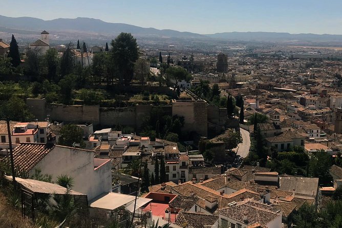 Semi Private Tour to the Alhambra From Nerja - Entrance Ticket to the Alhambra