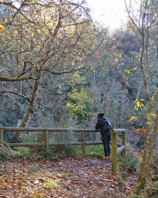 Serra Da Estrela: Valleys, Waterfalls, and Mysticism - Private Tour - Getting to the Tour