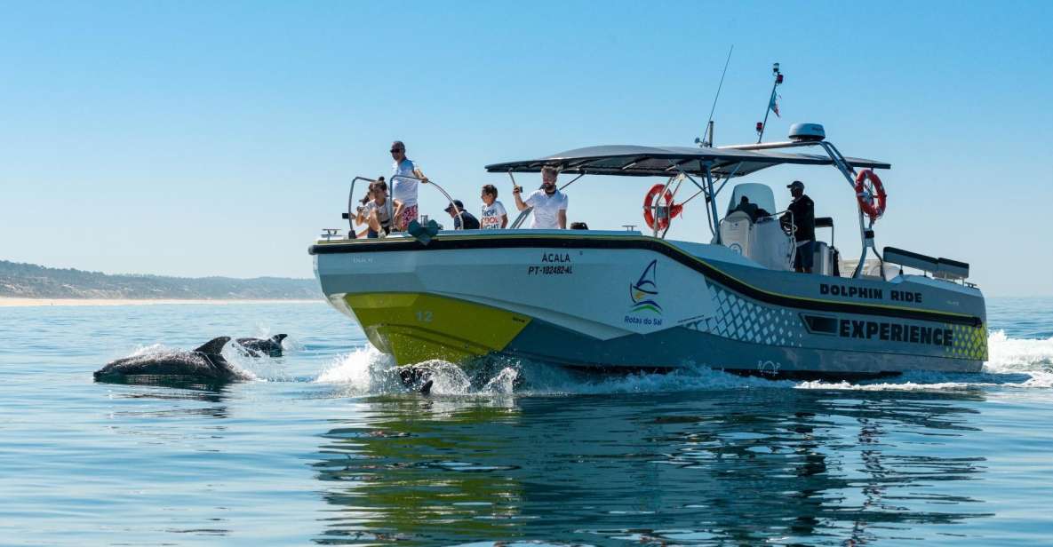 Setúbal: Dolphin Watching - Scenic Tour of Setúbal Bay