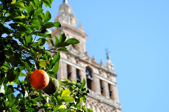 Seville Panoramic Walking Tour - Guided Panoramic Historical Tour