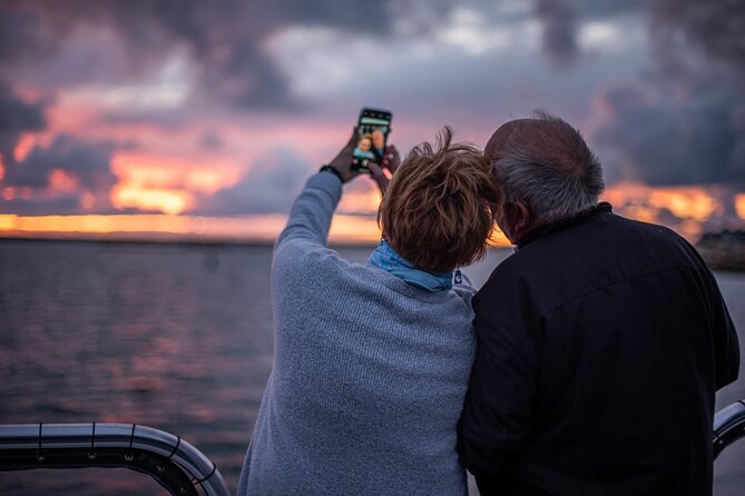 Shared Two-Hour Whale Watching Tour From Oceanside - Wildlife Sightings