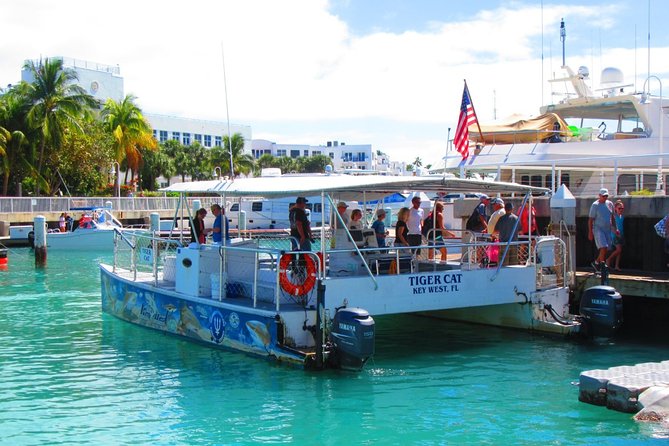 Shark and Wildlife Viewing Adventure in Key West - Eco-friendly Catamaran