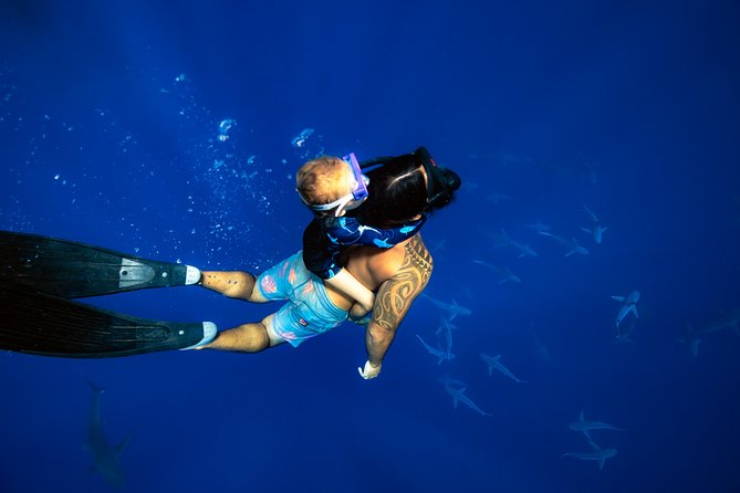 Shark Tour Dive With Sharks in Hawaii With One Ocean Diving - Maximizing the Experience