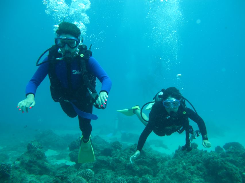 Shore Discover Scuba Diving Experience - Participant Requirements