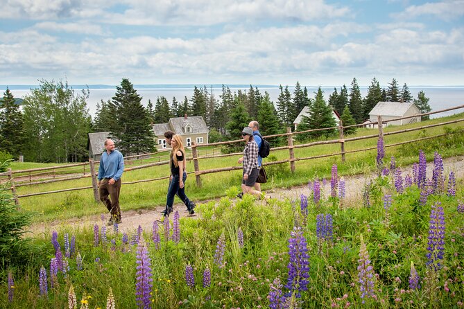 Shore Excursion of the Highland Village Museum in Cape Breton - Activities and Experiences