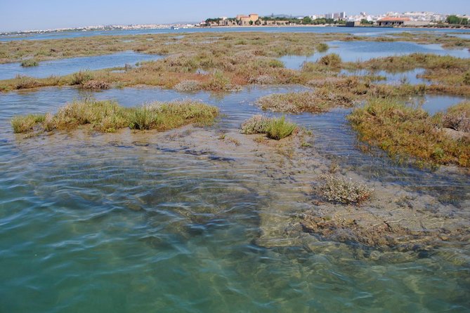 Short Boat Trip of the Algarves Ria Formosa Lagoon From Faro: 1 Hour - Getting to the Departure Point