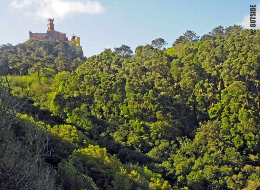 Sintra: 3.5-Hour Rock Climbing Experience - Insurance and Expert Supervision