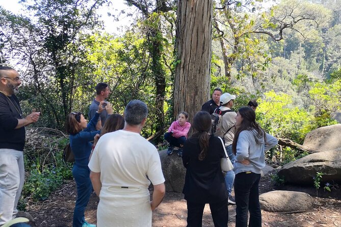 Sintra ALL PALACES - Small Groups (2-6pax) PRIVATE TOUR - Admiring Scenic Landscapes