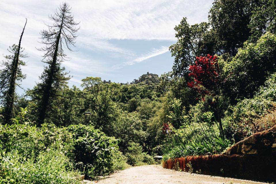 Sintra: Biester Palace and Park Guided Tour - Cancellation and Refund Policy